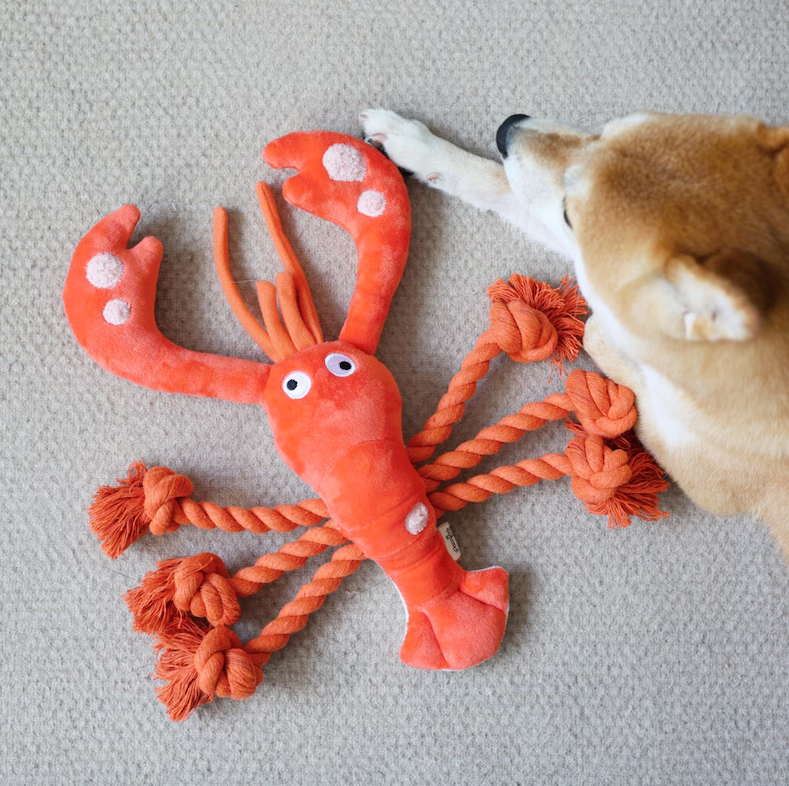 toy